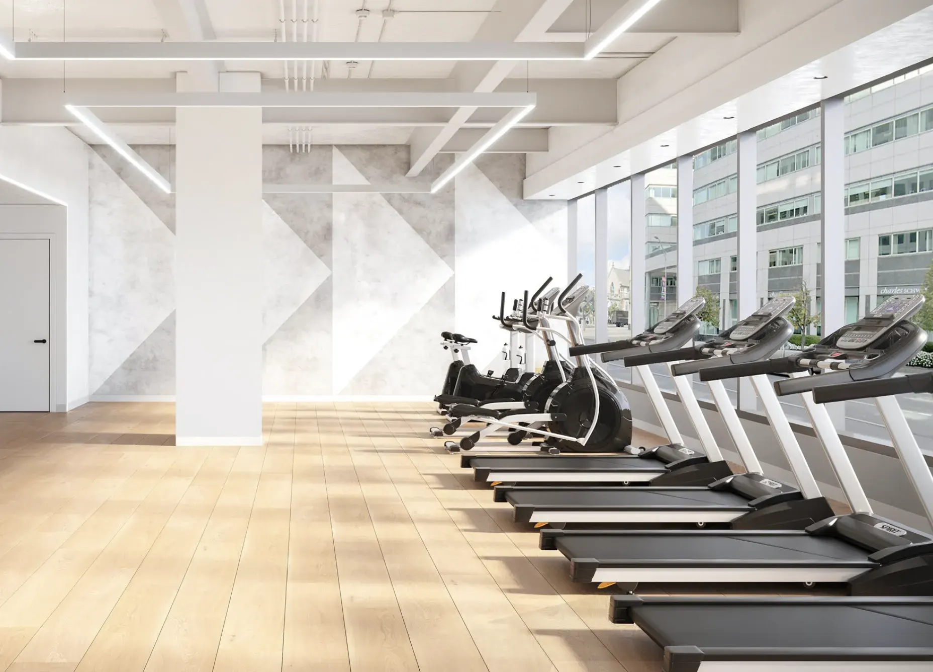 fitness