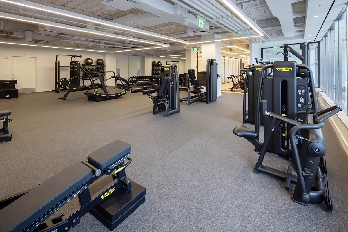 fitness weights